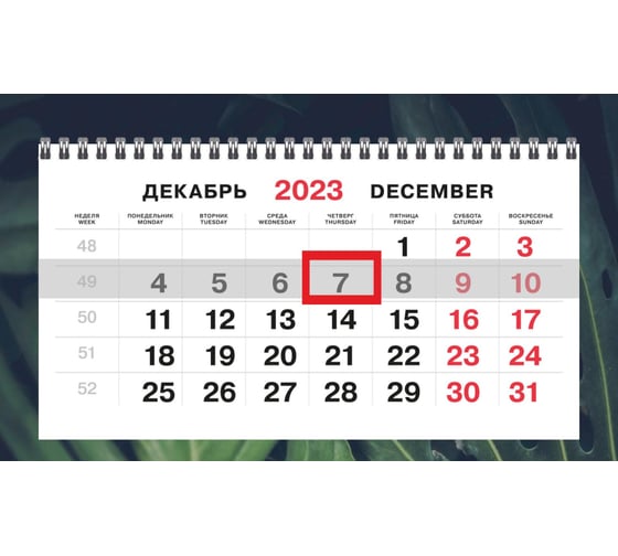 Настенный календарь Attache 3-х блочный трио 2024, 295x710, 80 г/кв. м монстера 1772338
