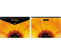Пластиковая папка-конверт на кнопке Hatber HD А4 150мкм IFRESH-цветок , 10шт. 030068