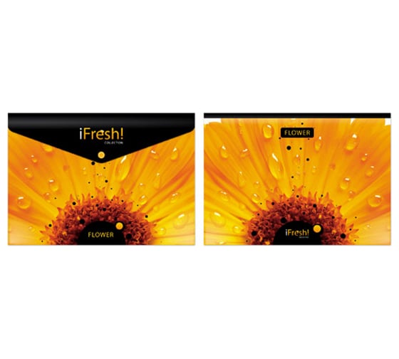 Пластиковая папка-конверт на кнопке Hatber HD А4 150мкм IFRESH-цветок , 10шт. 030068 1
