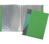 Пластиковая папка Hatber 30 вкладышей А4 корешок 17 мм STANDARD 600 мкм Зеленая, 30шт. 038459