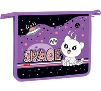 Папка для тетрадей Hatber пластиковая, А5, 2 отделения, 205x240x65 мм, на молнии, Вселенная в пушистых лапках, 12 шт. 079440