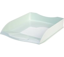 Горизонтальный лоток Hatber 340x280x70 мм, NEWtone Pastel, мята, 20 шт. 077228