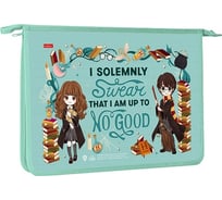 Папка для тетрадей Hatber пластиковая, А4, 245x340x40 мм, на молнии, Гарри Поттер, 12 шт. 079261