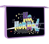 Папка для тетрадей Hatber пластиковая, А4, 2 отделения, 240x340x75 мм, на молнии, No normal, 12 шт. 079280