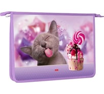 Папка для тетрадей Hatber пластиковая, А4, 2 отделения, 240x340x75 мм, на молнии, Замурчательно, 12 шт. 079282