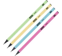 Чернографитный карандаш Attache Ameli HB, б/ластика, трехгранный, черное дерево, 48 шт. в упаковке, в ассортименте 1706379