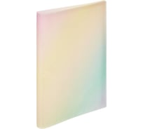 Файловая папка Attache Selection на 40 файлов, А4, rainbow, рр, 400 мкм 1695233