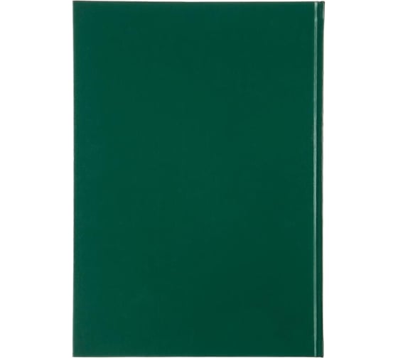 Книга учета Attache А4, 96 л, в клетку, блок офсет, бумвинил, зеленый 1743629