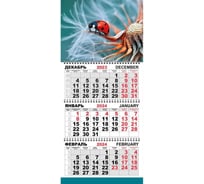 Настенный календарь Attache 3-х блочный, трио стандарт, 2024 год, 295x710, божья коровка 1772320