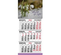 Настенный календарь Attache 3-х блочный, трио стандарт, 2024 год, 295x710, подснежники 1772321