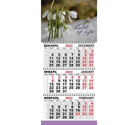Настенный календарь Attache 3-х блочный, трио стандарт, 2024 год, 295x710, подснежники 1772321
