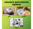 Папка-скоросшиватель Staff комплект 25 шт., А4, зеленая 880532 6