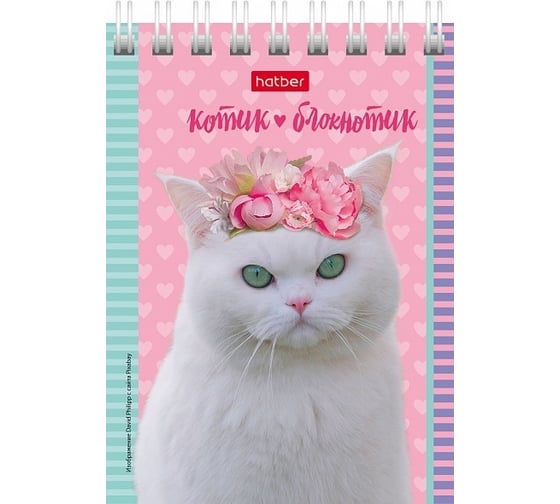Блокнот Hatber Котята 40 л, А7, клетка, обложка мелованный картон, 120 шт в упаковке 051116