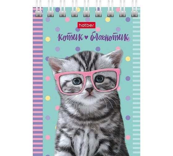 Блокнот Hatber Котята 40 л, А7, клетка, обложка мелованный картон, 120 шт в упаковке 051116