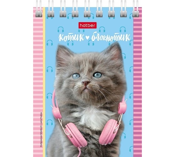 Блокнот Hatber Котята 40 л, А7, клетка, обложка мелованный картон, 120 шт в упаковке 051116