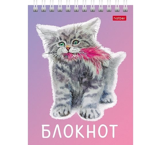 Блокнот Hatber Котики бывают разными 40 л, А6, клетка, обложка мелованный картон, УФ-лак, 96 шт в упаковке 080474