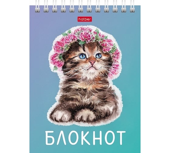 Блокнот Hatber Котики бывают разными 40 л, А6, клетка, обложка мелованный картон, УФ-лак, 96 шт в упаковке 080474