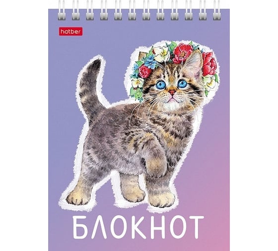 Блокнот Hatber Котики бывают разными 40 л, А6, клетка, обложка мелованный картон, УФ-лак, 96 шт в упаковке 080474