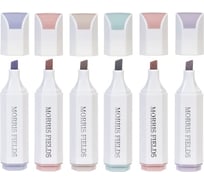 Набор текстовыделителей Hatber Morris Fields 6 цв. клиновидный пишущий узел в пластиковом кейсе, 1шт. 075235