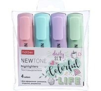 Набор текстовыделителей Hatber NEWtone PASTEL 4 цв. клиновидный пишущий узел в прозрачном ПВХ-боксе , 1шт. 062055