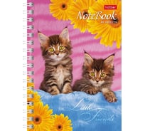 Записная книжка Hatber 80л А6 клетка серия Милые Котята, 120шт. 030957