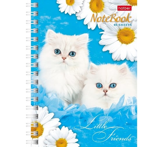 Записная книжка Hatber 80л А6 клетка серия Милые Котята, 120шт. 030957