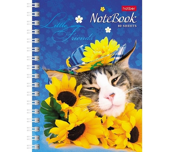 Записная книжка Hatber 80л А6 клетка серия Милые Котята, 120шт. 030957