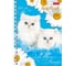 Записная книжка Hatber 80л А6 клетка серия Милые Котята, 120шт. 030957 2