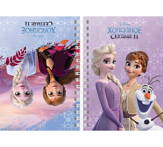 Записная книжка Hatber 80л А6 с твердой обложкой двойная Холодное сердце DISNEY, 1шт. 061532