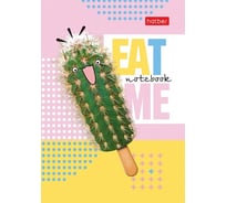 Записная книжка Hatber 24л А6 85x120мм ЛИНИЯ матовая ламинация, серия Забавный кактус, 280шт. 066164