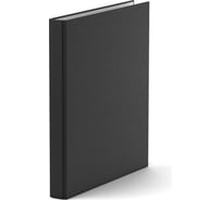 Папка-регистратор ErichKrause на 2 кольцах Стандарт, А4, 35 мм, черный 38207