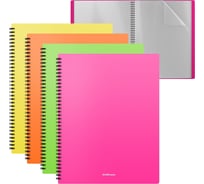Файловая папка на спирали ErichKrause Matt Neon, с 20 прозрачными карманами, A4, пластиковая, ассорти, 4 шт. в упаковке 49953
