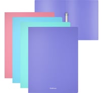 Папка на 2 кольцах ErichKrause Diagonal Pastel, 24 мм, A4, пластиковая, ассорти, 4 шт. в упаковке 49977