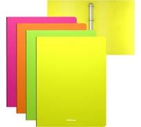 Папка ErichKrause на 4 кольцах пластиковая текстура Песок Неон, 24 мм, A4, ассорти 49975