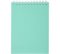 Блокнот Hatber Premium NEWtone PASTEL МЯТА 80 л, А6, клетка, бумага офсетная, 80 г/кв.м, запечатанный титульный лист, 48 шт в упаковке 061931