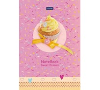 Блокнот Hatber Premium Сладость в радость 50 л, А5, 70 г/кв.м, в точечку, обложка мелованная бумага, глянцевая ламинация, 4 шт в упаковке 060400