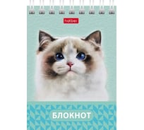 Блокнот Hatber Глазки, ушки, носик 40 л, А7, клетка, 65 г/кв.м, обложка мелованный картон, 120 шт в упаковке 081186