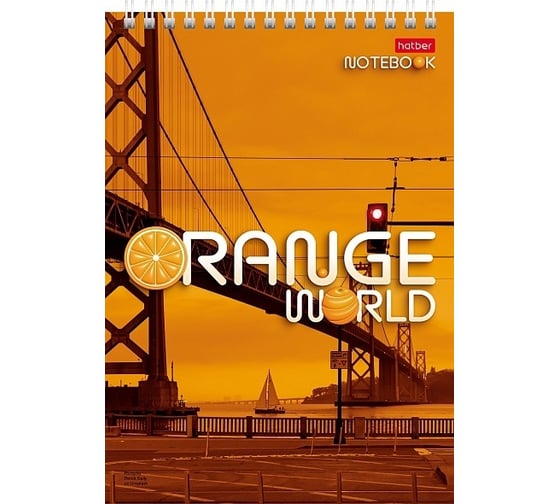Блокнот Hatber ORANGE WORLD 80 л, А5, клетка, 65 г/кв.м, обложка мелованный картон, УФ-лак, на гребне, 4 шт в упаковке 081835