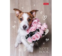 Записная книжка Hatber 64л А6 клетка/линия твердый переплет матовая ламинация Всё для тебя, 40шт. 082500