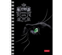 Записная книжка Hatber 80л А6 клетка серия  Royal Cats, 6шт. 066351