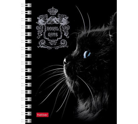 Записная книжка Hatber 80л А6 клетка серия  Royal Cats, 6шт. 066351