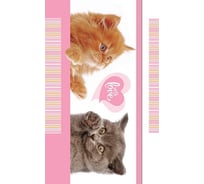 Записная книжка Hatber 8050л А6 с твердой обложкой с клапаном на резинке на гребнеКотята, 28шт. 059084