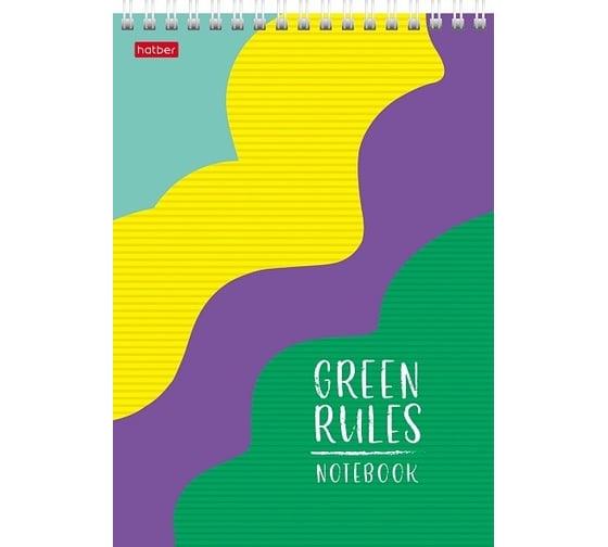 Блокнот Hatber Green Rules 96 л, А5, клетка, тонированный блок зеленый, 48 шт в упаковке 072230 1