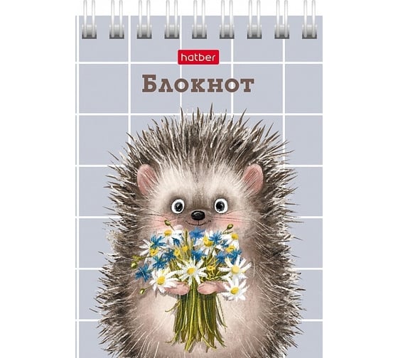Блокнот Hatber Хорошо быть ёжиком 40 л, А7, клетка, 65 г/кв.м, обложка мелованный картон, 120 шт в упаковке 081183