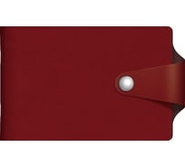 Визитница Hatber VIVELLA BICOLOUR 12 карманов, двухцветный, 70x120 мм, бордо/шоколад, хлястик с кнопкой, 1 шт в упаковке 054668