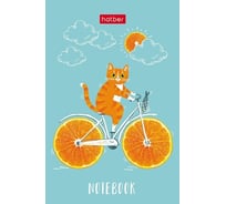 Блокнот Hatber Котик-апельсинка 48 л, А7, 65x100 мм, 3-х цветный блок клетка, обложка мелованная бумага, 100 шт в упаковке 083526