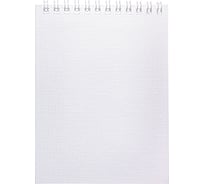 Блокнот Hatber METALLIC 40 л, А6, клетка, обложка бумвинил, белый, 96 шт в упаковке 066844