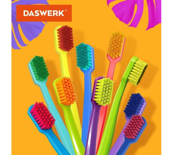Зубные щетки для взрослых и детей DASWERK 6 шт., средне-мягкие (medium soft) 608214