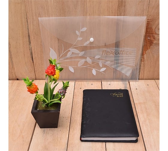 Папка на кнопке Flexoffice А4 прозрачная, 12 шт FO-CBF02 CLEAR