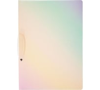 Папка Attache Selection Rainbow с клипом, А4, РР, 400 мкм 1695234